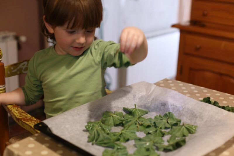 Wild Experience: Discover, Cook & Eat the Local Wild Flora - Activity Details and Inclusions