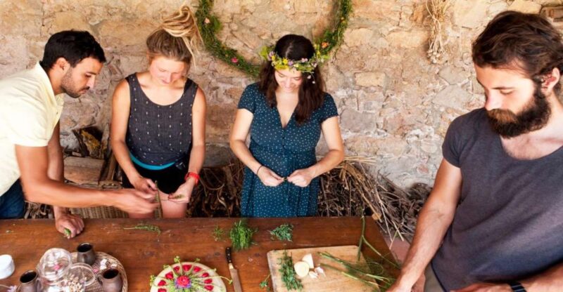 Wild Experience: Discover, Cook & Eat the Local Wild Flora - Transportation and Access