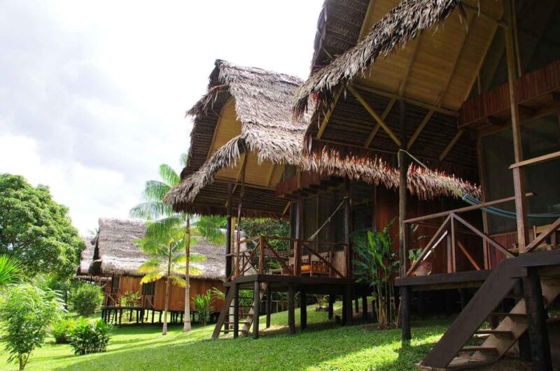 Wild Exploration: Adventure in Pacaya-Samiria - Key Points