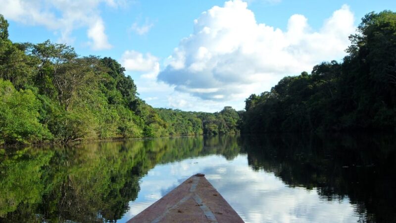 Wild Exploration: Adventure in Pacaya-Samiria - Booking and Availability