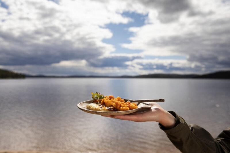Wild Food & Foraging Hike With Open Fire Lunch in Ivalo - Connecting With Nature