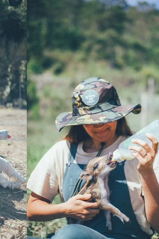 Wild Forest Reserve Foundation - Caretaker for a Day - Key Points