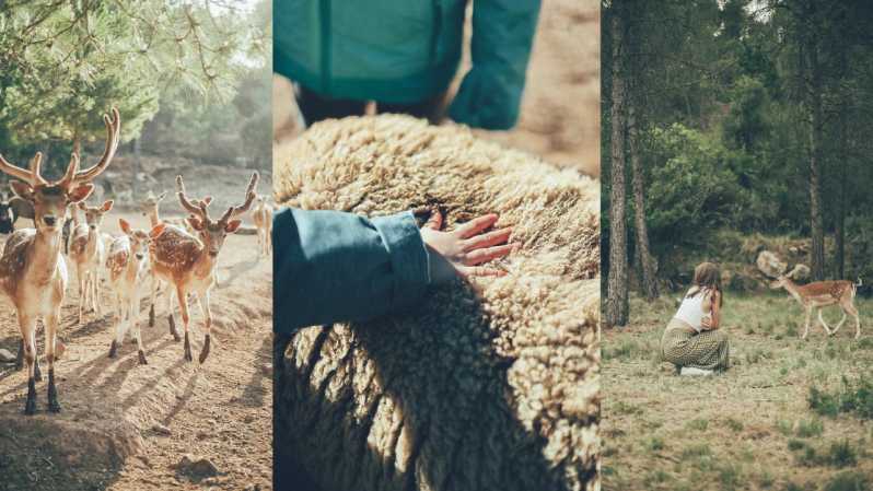 Wild Forest Reserve Foundation - Caretaker for a Day - Booking Details