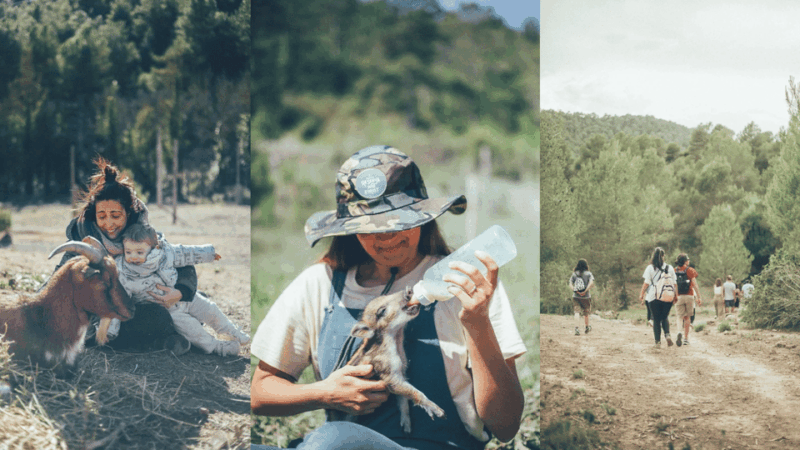 Wild Forest Reserve Foundation - Caretaker for a Day - Certification and Location