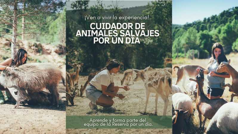 Wild Forest Reserve Foundation - Visit - Booking Information