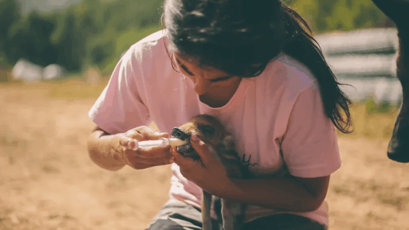 Wild Forest Reserve Foundation - Visit - Environmental Education