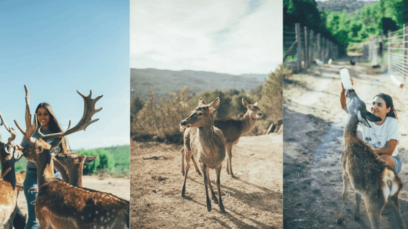 Wild Forest Reserve Foundation - Visit - Location