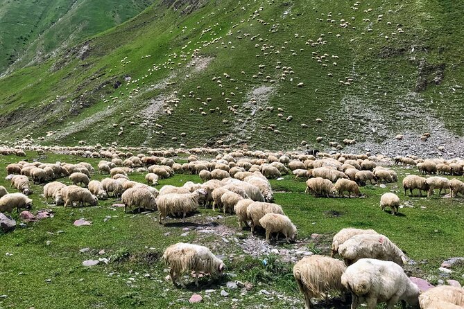 Wild Georgia 4WD PACK Adventure Through Kakheti and Kazbegi 2in1 - Off-Road Explorations