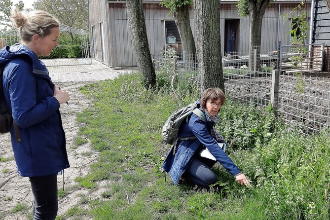 Wild Herb Picking Tour in Nature Reserve De Rhoonse Grienden - Tour Overview