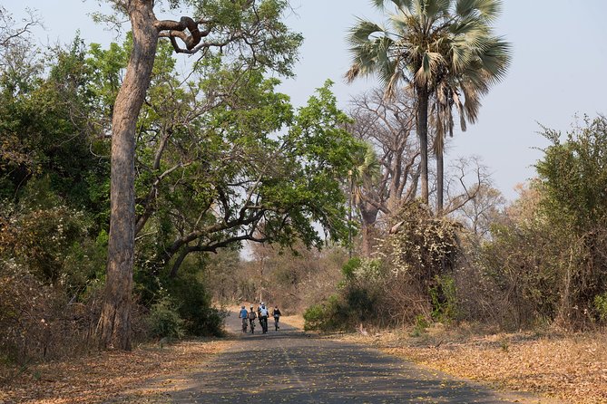 Wild Horizons Bike Tour (Zimbabwe) - Reviews and Ratings