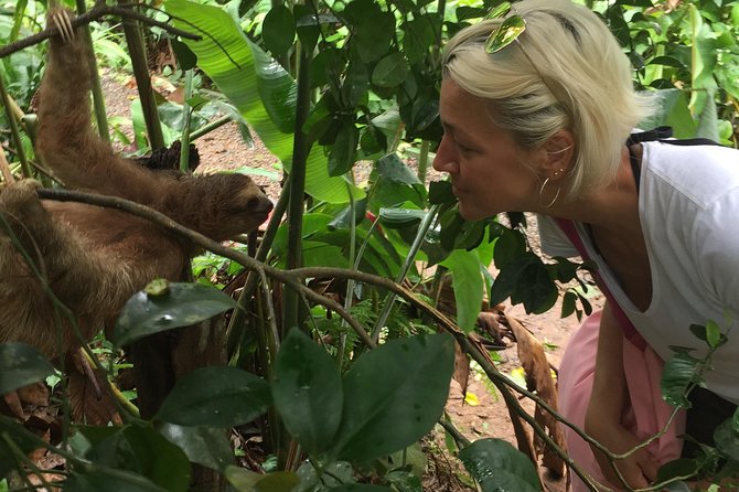 Wild Life And Horseback Riding Through The Rain Forest - Key Points