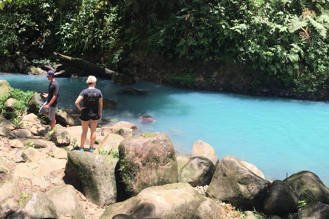Wild Life And Horseback Riding Through The Rain Forest - Encountering Incredible Wildlife Sightings