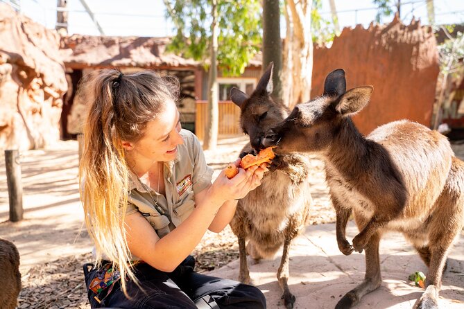 WILD LIFE Sydney Entrance Ticket - Ticket Options and Upgrades