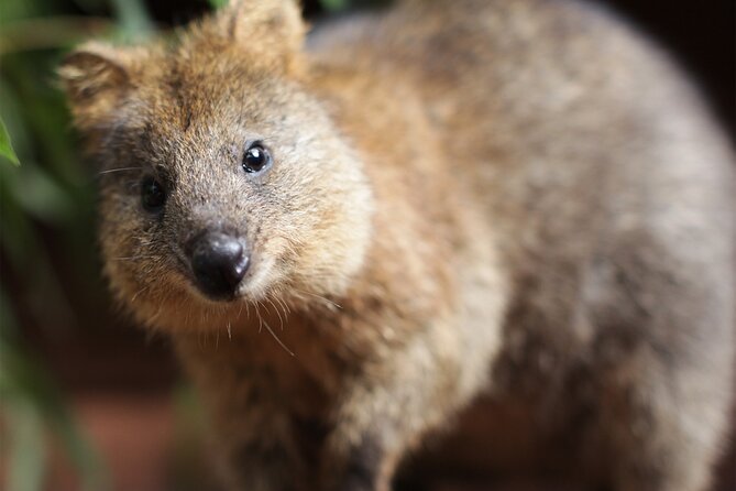 WILD LIFE Sydney Entrance Ticket - Visitor Feedback and Reviews