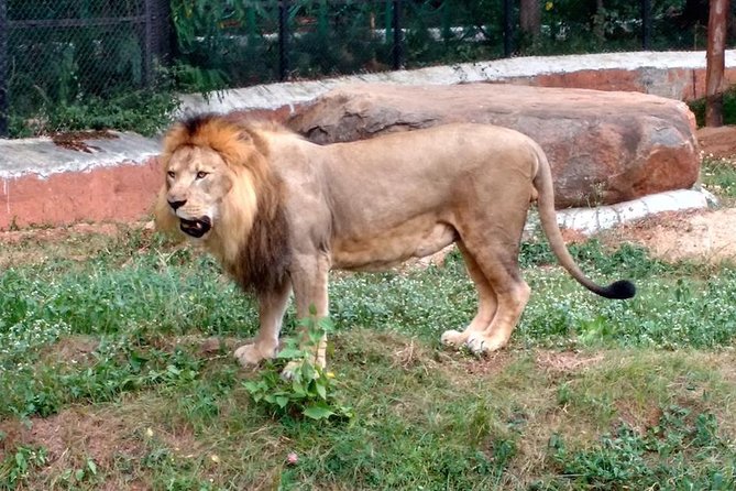 Wild Life Tour in Chennai With Guide and Private Car - Planning Your Tour
