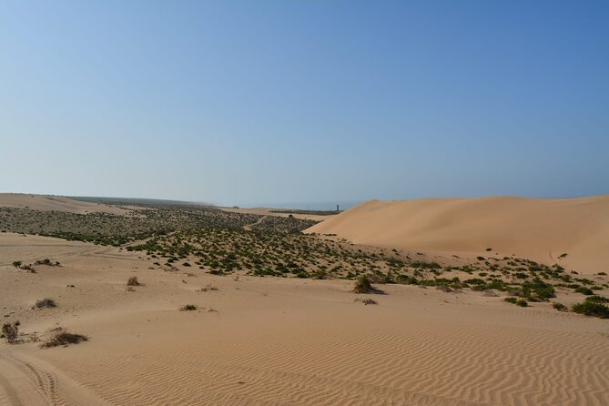Wild National Park & Sahara Desert Including Couscous & Tajine - Customer Reviews