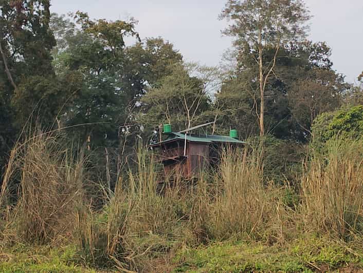 Wild Nights: Tower Stay in Chitwan National Park - Night Experience