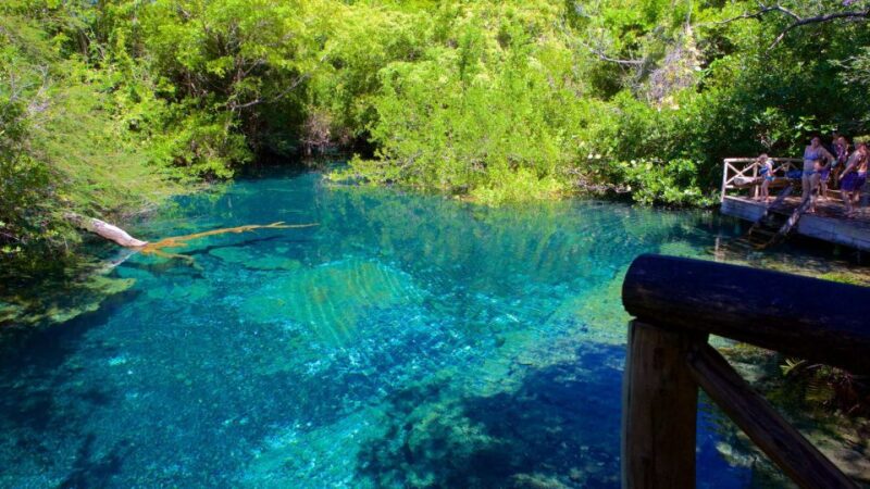 Wild on Punta Cana: Cruise With Snorkeling Half Day - Important Information