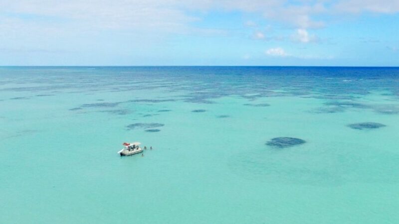 Wild on Punta Cana: Cruise With Snorkeling Half Day - Customer Reviews