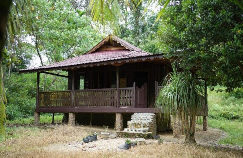 Wild Orangutan Trek: 2-Day Adventure in Gunung Leuser Park - Important Considerations