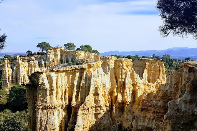Wild Organs: Grand Landscape, Plants, Geology, Birdsongs - Meeting Details