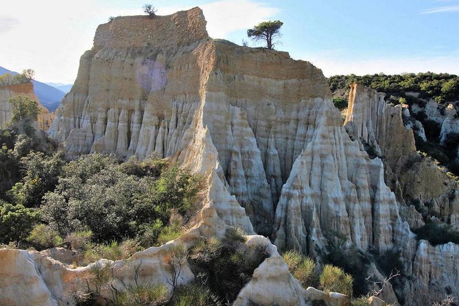Wild Organs: Grand Landscape, Plants, Geology, Birdsongs - Check Availability