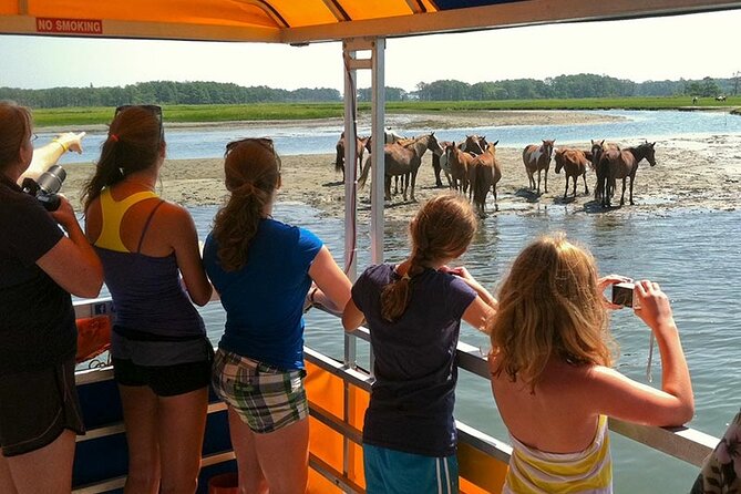 Wild Pony Watching Boat Tour From Chincoteague to Assateague - Tour Operator and Capacity