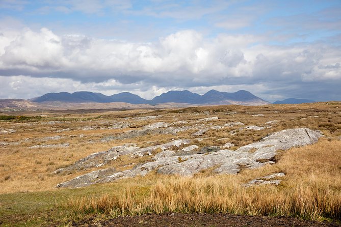 Wild Red Deer Viewing Safari, Connemara. Guided 3hrs - Park and Wildlife Details