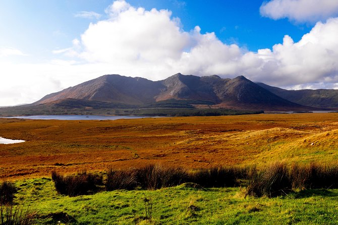 Wild Red Deer Viewing Safari, Connemara. Guided 3hrs - Worth The Stay