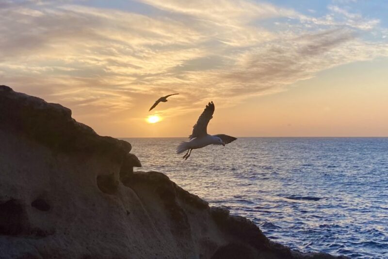 Wild Romantic Beaches - West Coast Guided Walk - Key Points