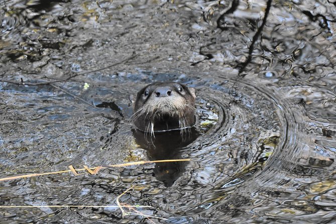 Wild & Scenic Loxahatchee River Guided Tour - Guided Kayak Tour Inclusions