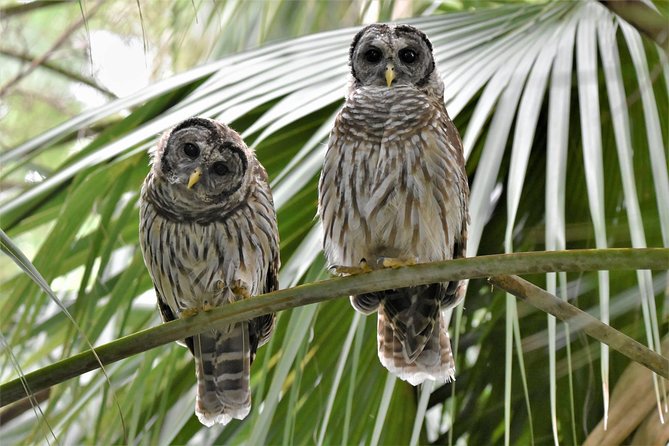 Wild & Scenic Loxahatchee River Guided Tour - Cancellation Policy and Refunds