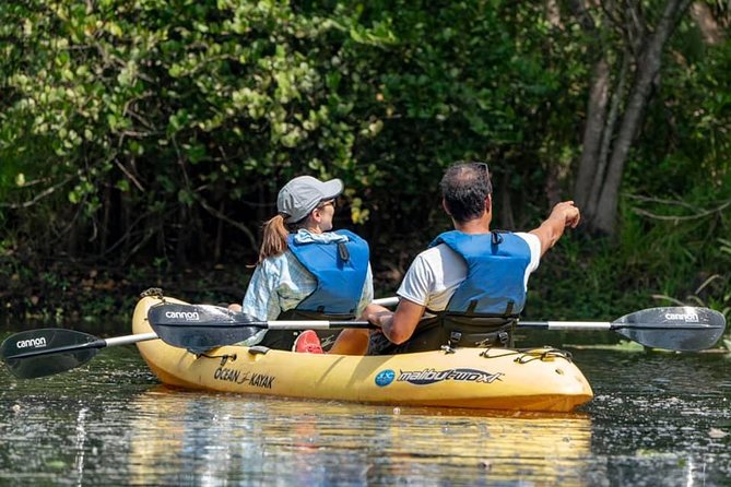 Wild & Scenic Loxahatchee River Guided Tour - Wildlife Sightings and Difficulty Level