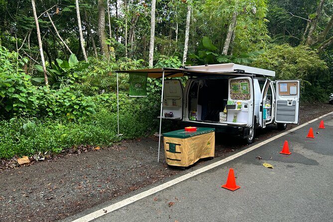Wild & Scenic Rainforest Nature Walk (Day Time River & Swim) - Practical Details and What to Expect