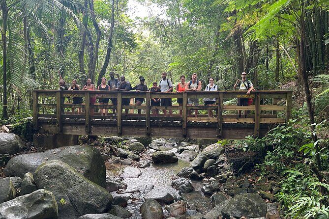 Wild & Scenic Rainforest Nature Walk (Day Time River & Swim) - Who Will Get the Most Out of This Tour?