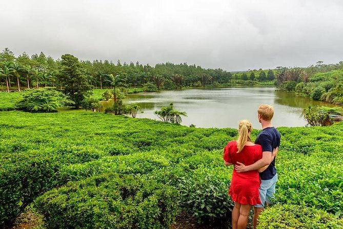 Wild South: Full-Day Tour Incl Rhumerie St Aubin, Bois Cheri Tea Factory & Lunch - Pickup Information