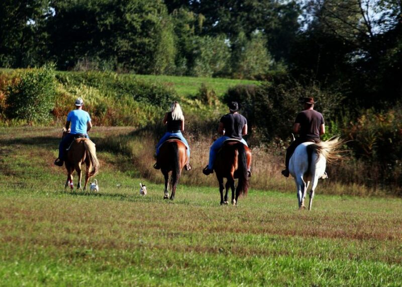 Wild Spring Ranch: Rakovica, Croatia, Horse Riding - Good To Know