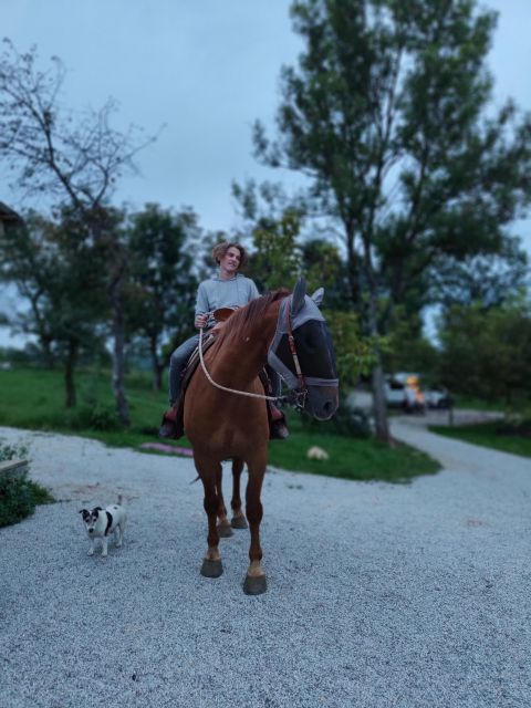 Wild Spring Ranch: Rakovica, Croatia, Horse Riding - Participant Requirements