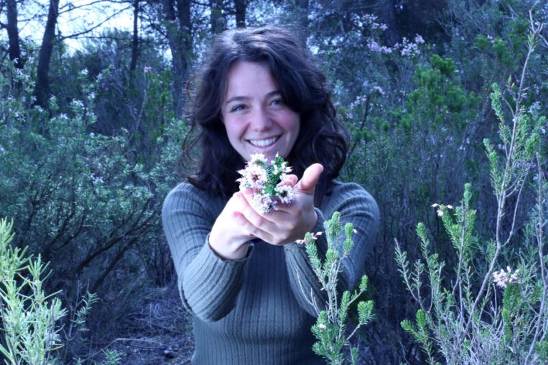 Wild Walk: Discover the Local Wild Flora - Highlights