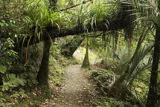 Wild West Coast & Black Sand Beach Tour Incl Craft Beer Brewery Lunch & Tasting - Inclusions