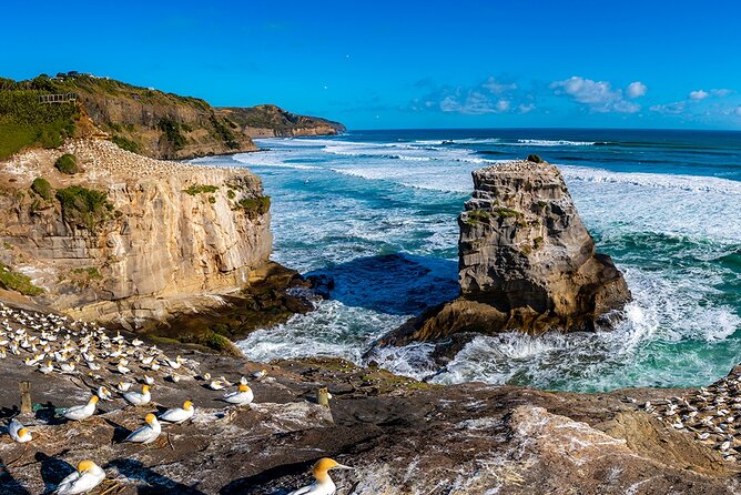 Wild West Coast & Black Sand Beach Tour Incl Craft Beer Brewery Lunch & Tasting - Tour Highlights