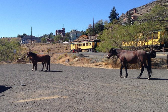Wild West Day Trip to Virginia City From Tahoe With Train Ride - Cancellation Policy