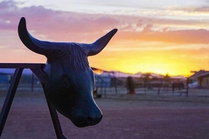 Wild West Sunset Horseback Ride With Dinner From Las Vegas - Transportation and Pickup