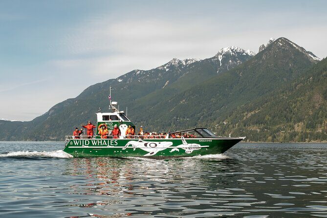 Wild Whale Watching Experience - Open Air Vessel - Key Points