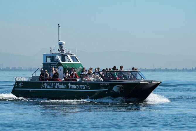 Wild Whale Watching Experience - Open Air Vessel - What Past Travelers Say
