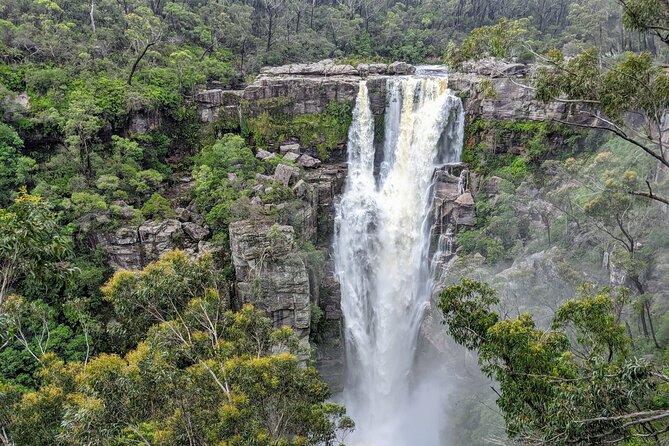 Wild Wombat and Kangaroo Day Tour From Sydney - Dining and Refreshment Inclusions