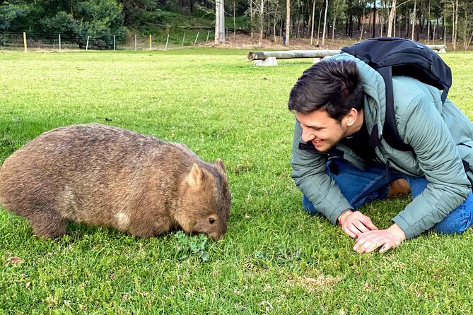 Wild Wombat and Kangaroo Day Tour From Sydney - Pricing and Guarantees