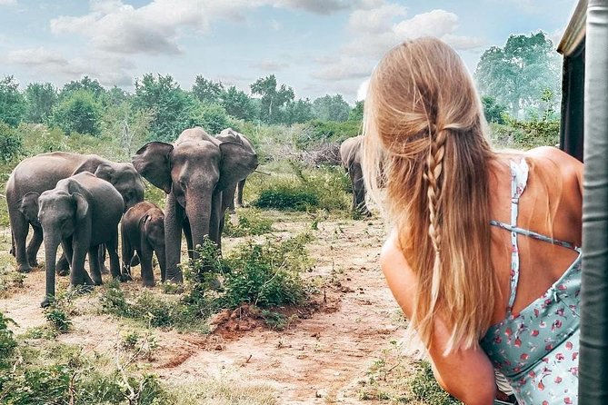 Wild Wonders Of Sri Lanka | 7 Days - Whale Watching in Mirissa