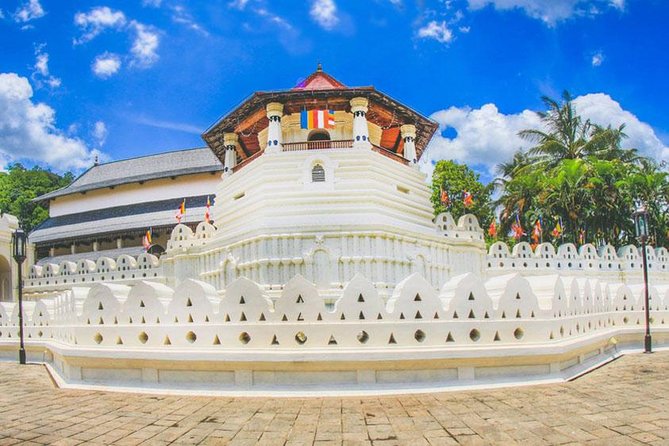 Wild Wonders Of Sri Lanka | 7 Days - Relaxing on Mirissa Beaches
