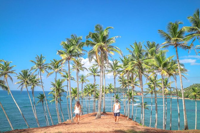 Wild Wonders Of Sri Lanka | 7 Days - Comfortable Accommodations Provided